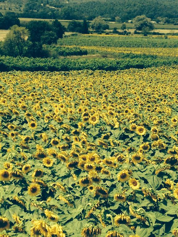 Tre Girasoli Monte San Savino Ruang foto