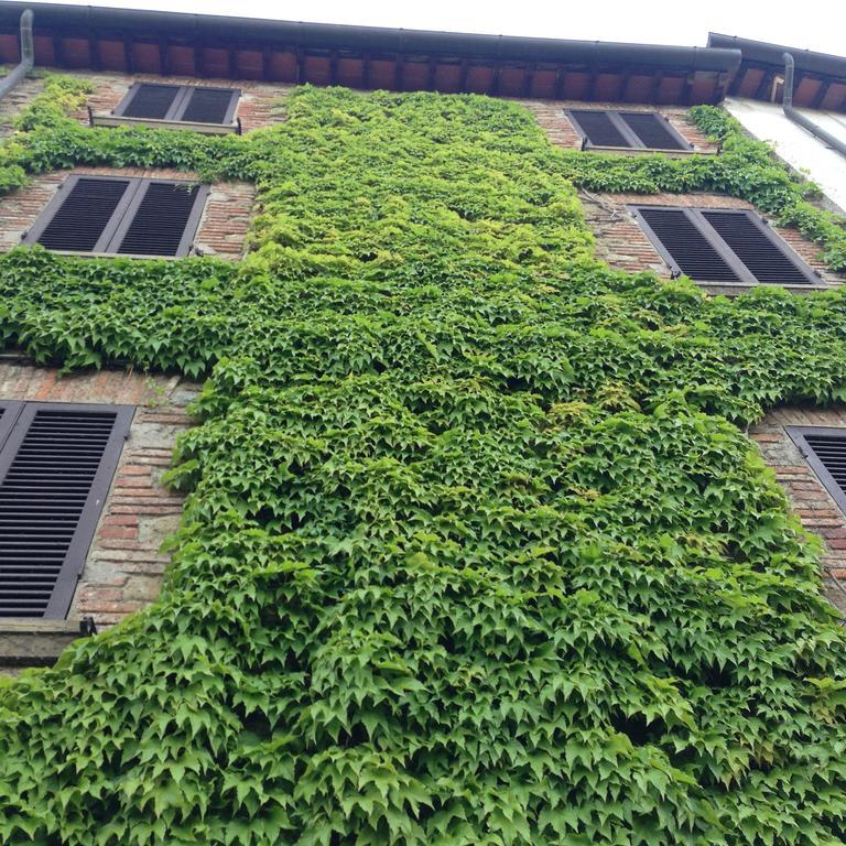 Tre Girasoli Monte San Savino Bagian luar foto