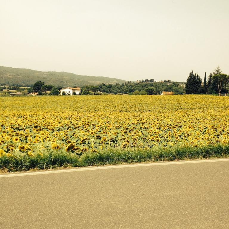 Tre Girasoli Monte San Savino Bagian luar foto