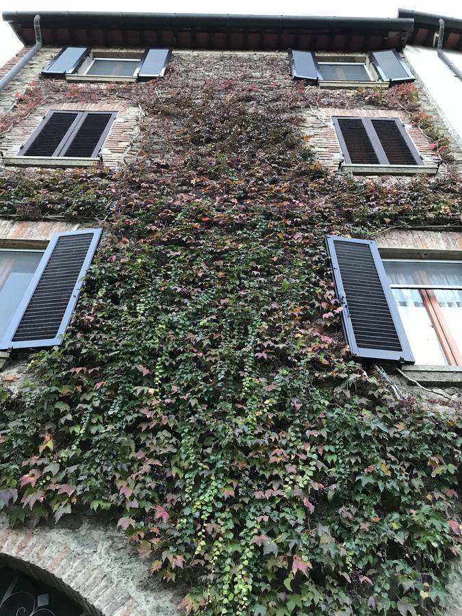 Tre Girasoli Monte San Savino Bagian luar foto